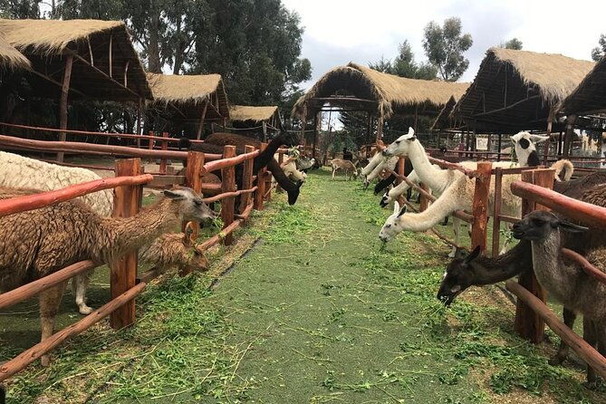 2-days-sacred-valley-and-machu-picchu-experience