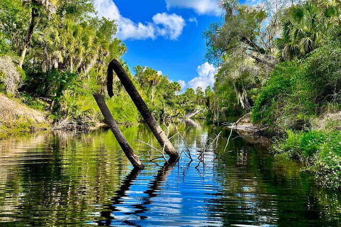 2 Hour Guided Stand up Paddle Board Tour Along Upper Manatee River