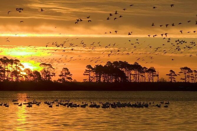 2-Hour Sunset Pontoon Boat Rental in Chincoteague Island, VA
