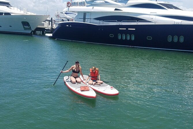 2 Hours ,2 Paddleboards & Up