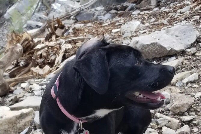 2-hours-hiking-night-tour-to-strip-views-in-las-vegas