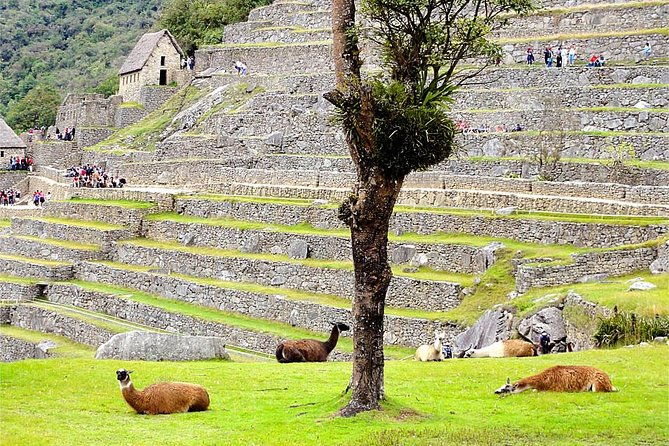 3-day-huchuy-qosqo-trek-to-machu-picchu-private-service