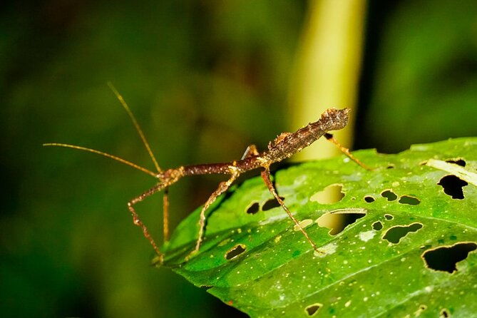 3-days-manu-park-tour-with-accommodation