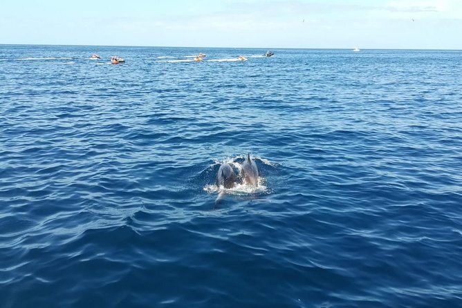 3-hour-boat-trip-from-costa-adeje-in-tenerife