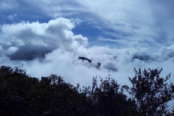 4-day-manu-jungle-trip-from-cusco