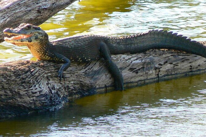 5-days-manu-park-tour