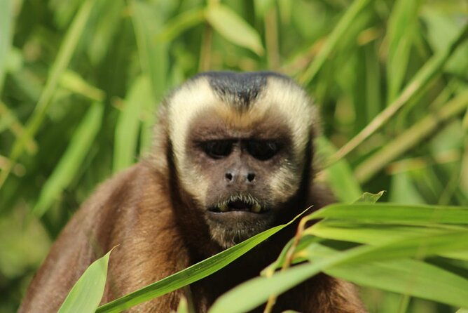 6-days-tour-in-manu-national-park-cusco-puerto-maldonado