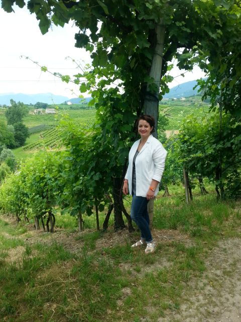 8-hour-prosecco-wine-and-tastings-tour-from-venice-or-padua