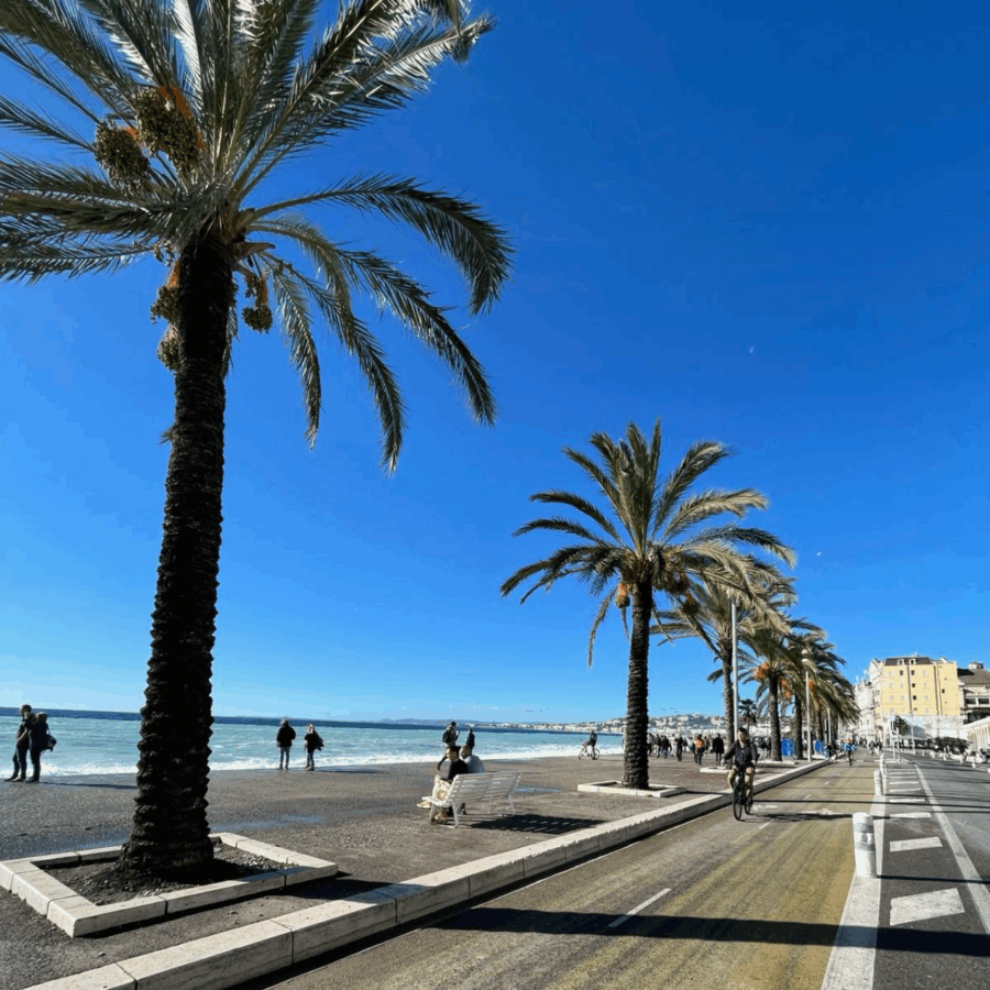 a-guided-walking-tour-through-the-charming-streets-of-nice