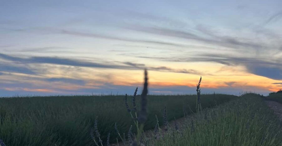 a-provencal-picnic-at-sunset-in-the-lavender-fields