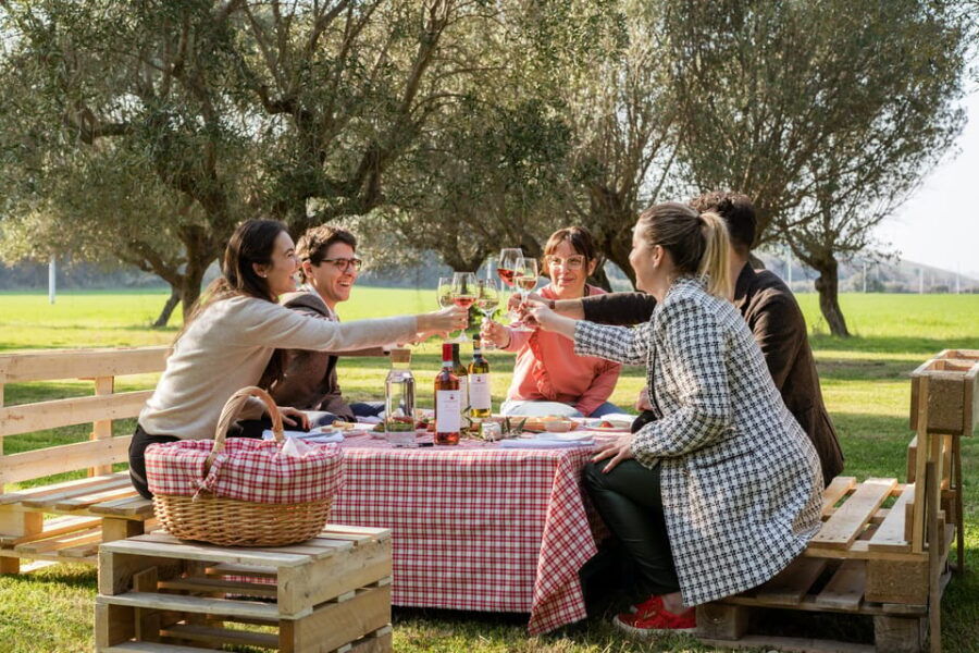 abruzzo-country-picnic-in-an-olive-grove-at-a-winery