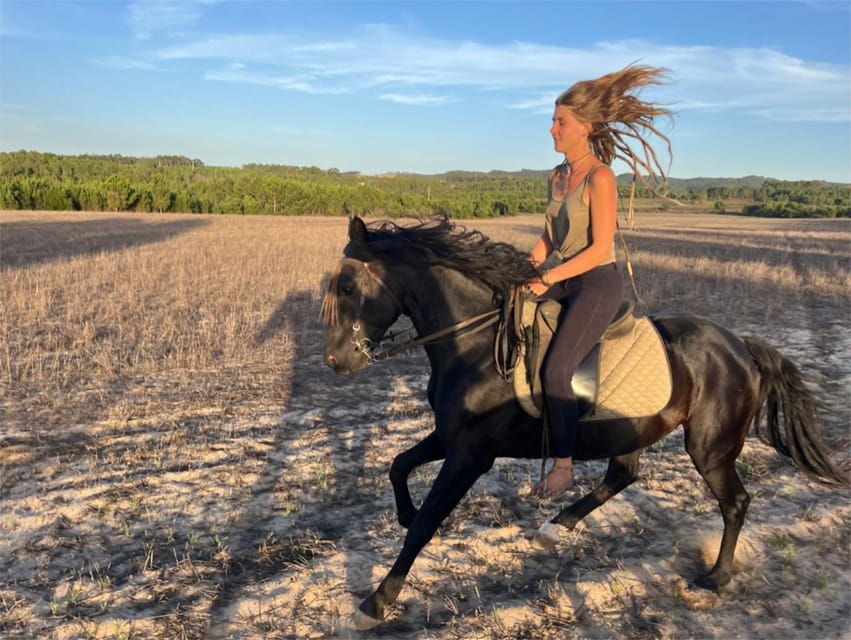 algarve-horseriding-tour-in-the-countryside-of-aljezur-rogil