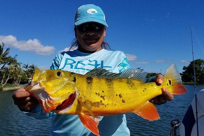 All Day Peacock Bass Fishing Trip Near Key Largo