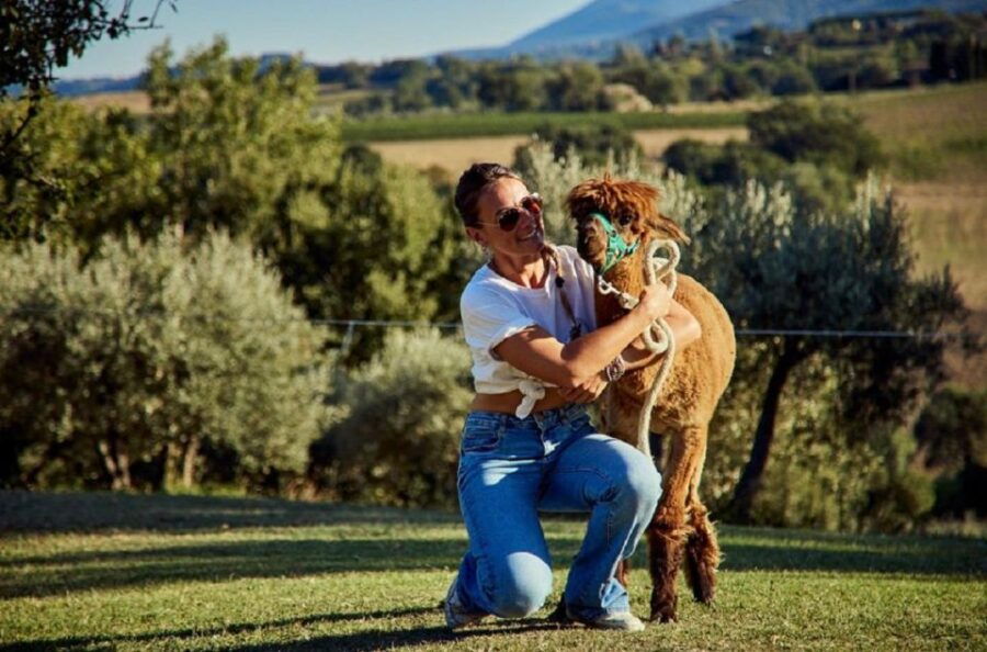 alpaca-trek-in-valdichiana-senese