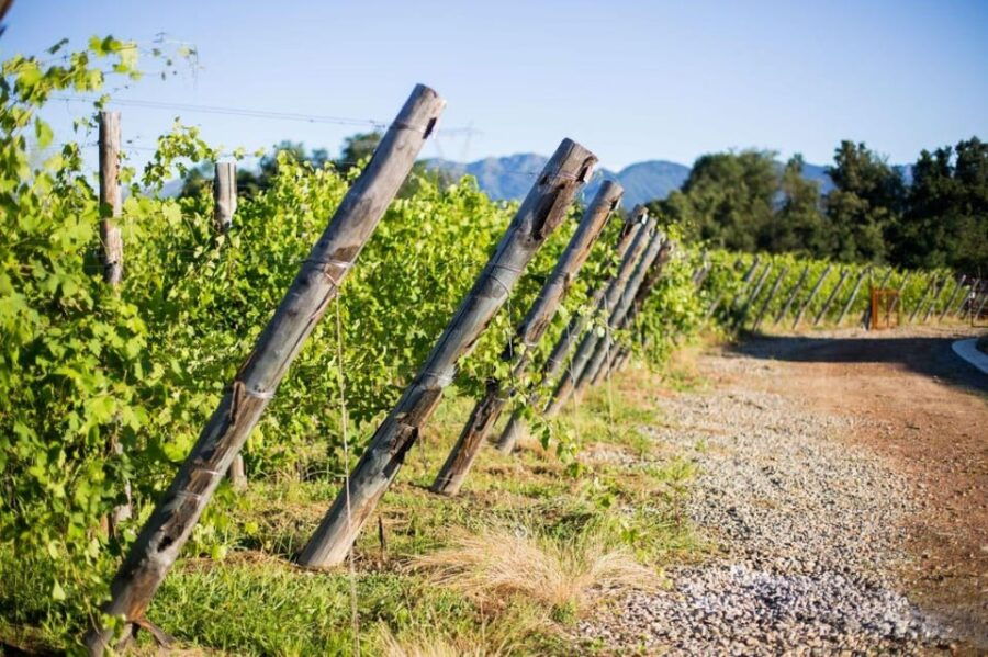 alto-piemonte-private-wine-tasting