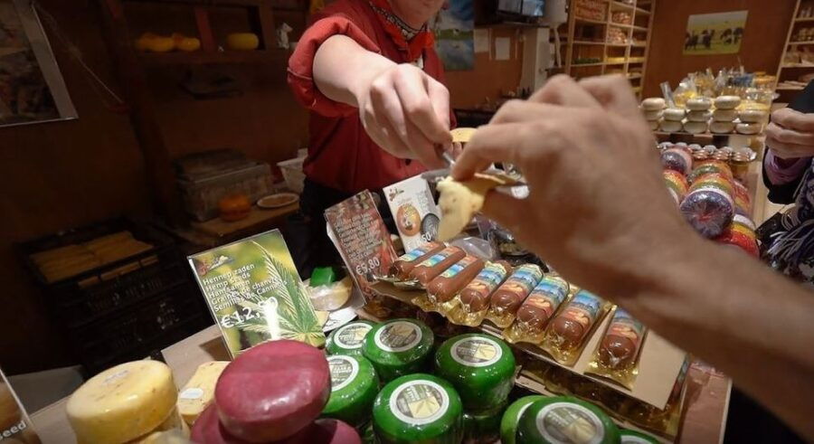 amsterdam-full-day-countryside-tour