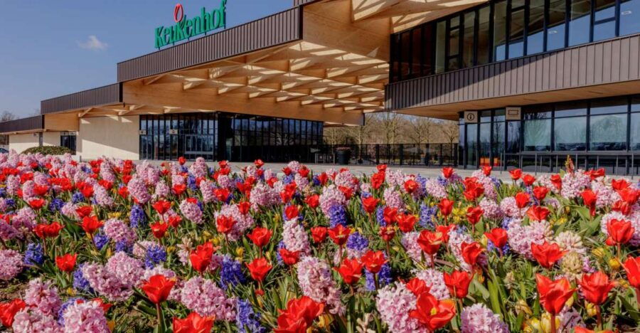 amsterdam-half-day-flower-fields-and-keukenhof-bicycle-tour