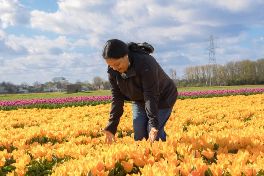 amsterdam-keukenhof-tulip-farm-full-day-tour-with-cruise