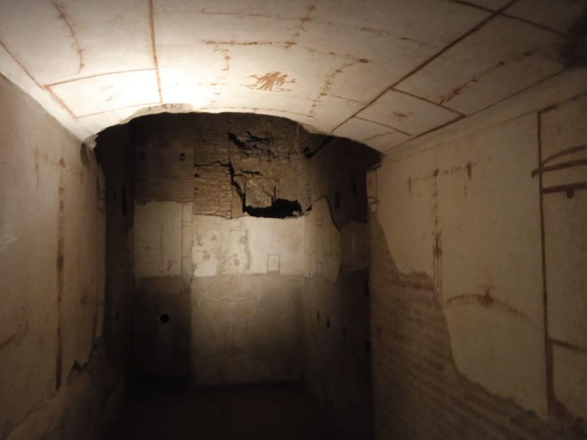 ancient-rome-and-domus-tiberiana-exclusive-guided-tour
