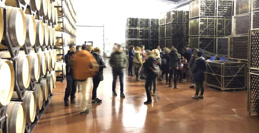 aranda-de-duero-martin-berdugo-winery-tour-and-tasting