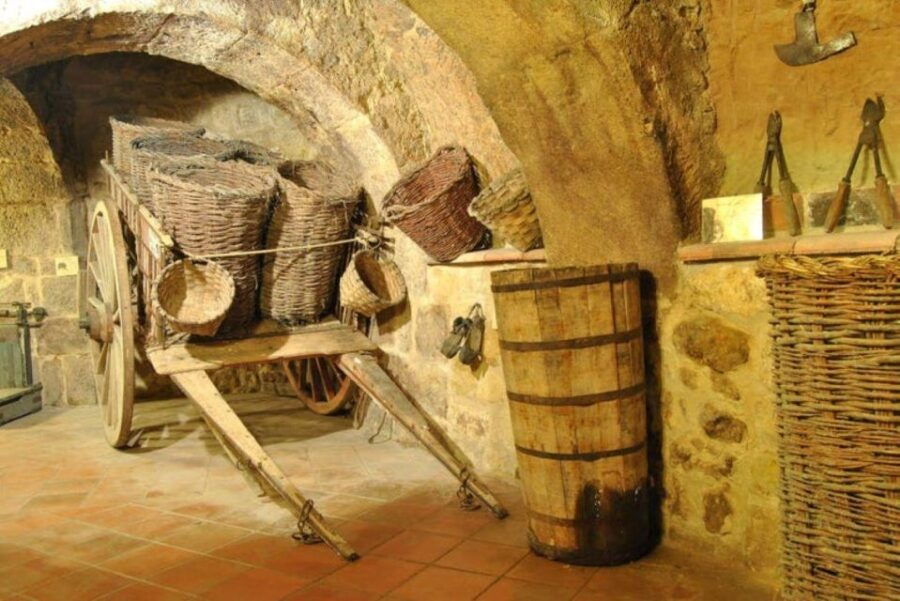 aranda-de-duero-tour-of-underground-cellar-and-wine-museum