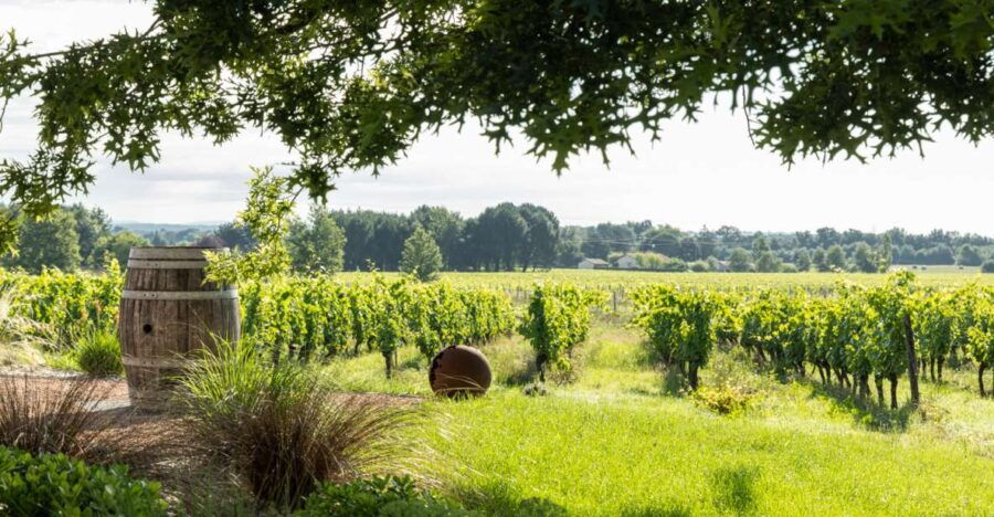 at-the-gates-of-toulouse-gourmet-tour