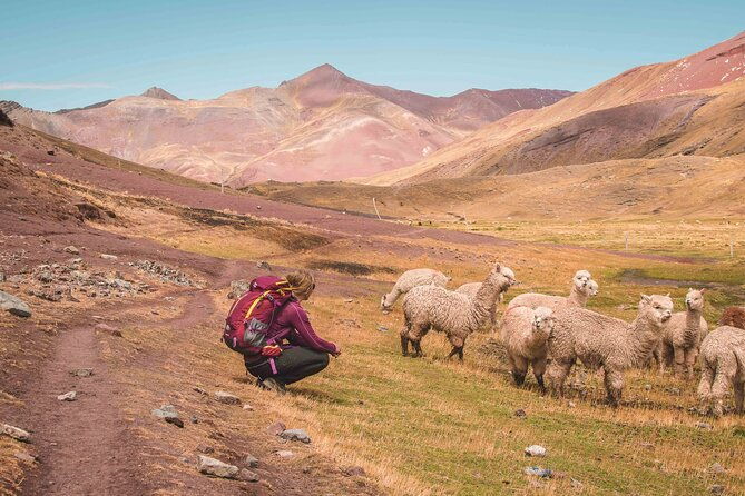 ausangate-trek-and-rainbow-mountain-5-days-all-inclusive