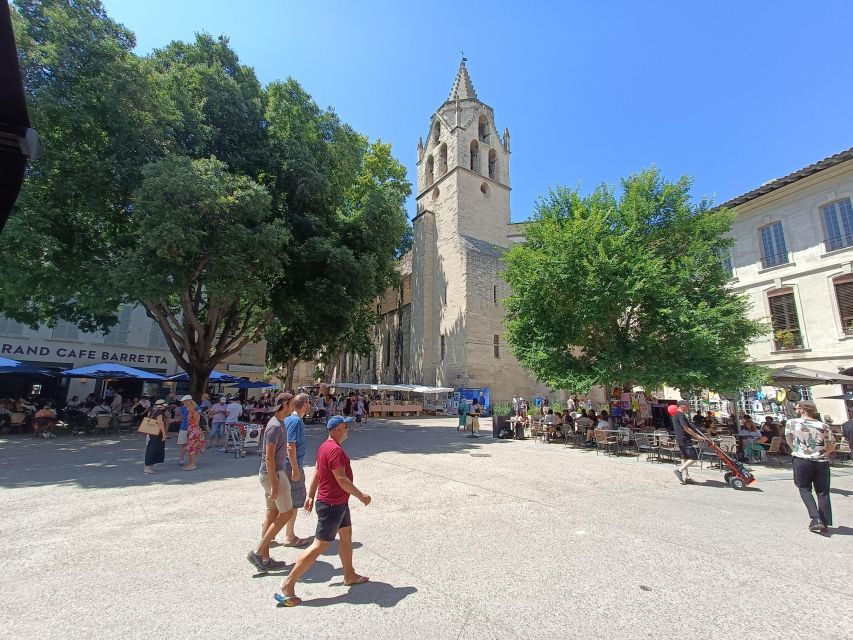 avignon-half-day-walking-tour-with-private-guide