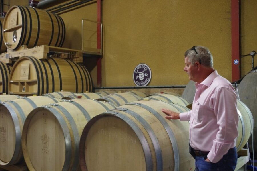 avignon-wine-tasting-tour