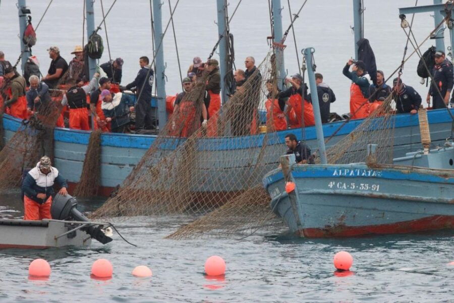 barbate-boat-tour-to-the-almadraba-of-conil-tuna-fishing