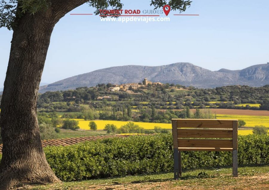 barcelona-tour-private-besalu-dali-wine-tasting