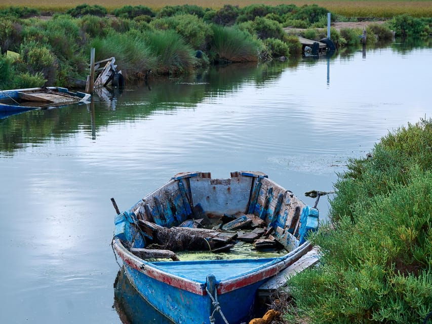 barcelona-tuna-baths-in-the-ebro-delta-route-and-olive-tree-tour