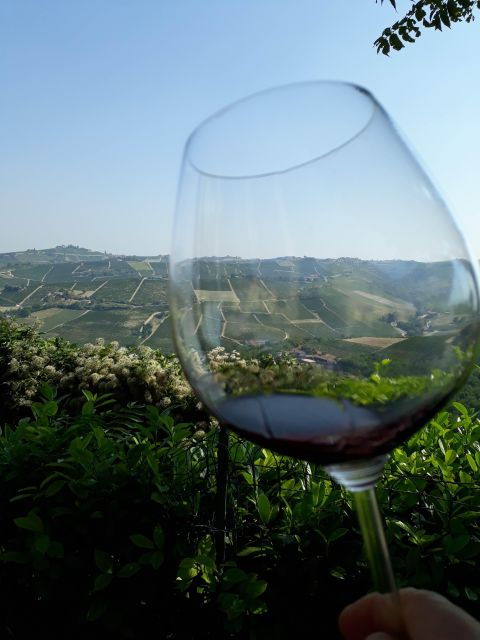 barolo-langhe-wine-tour