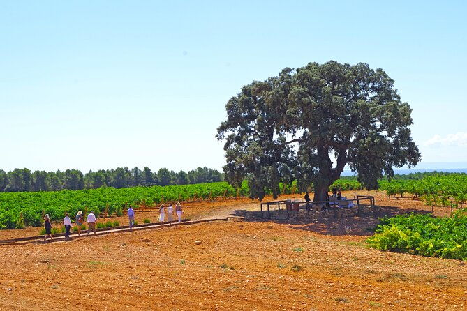 barrels-and-dishes-of-typical-local-gastronomy