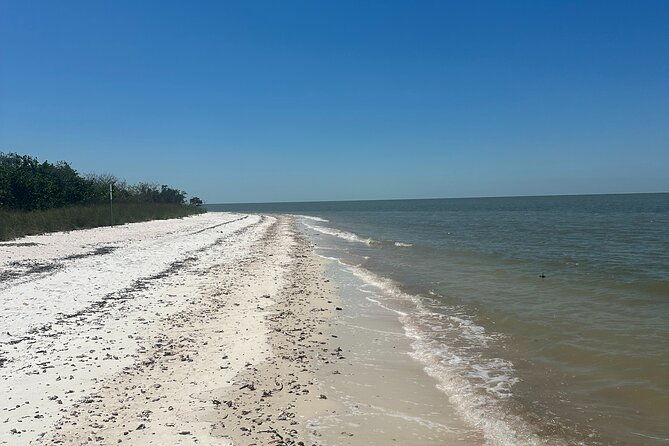beach-and-shelling-excursion-public