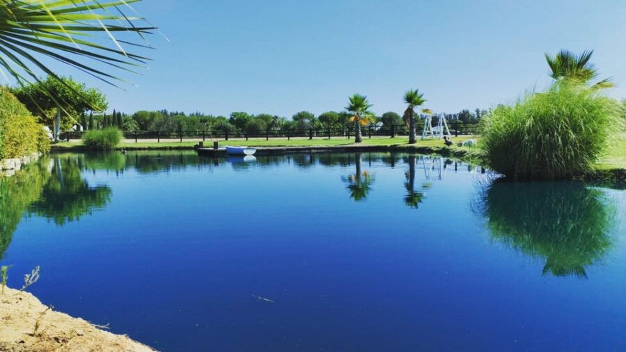 berry-tasting-strawberries-raspberries-and-blueberries