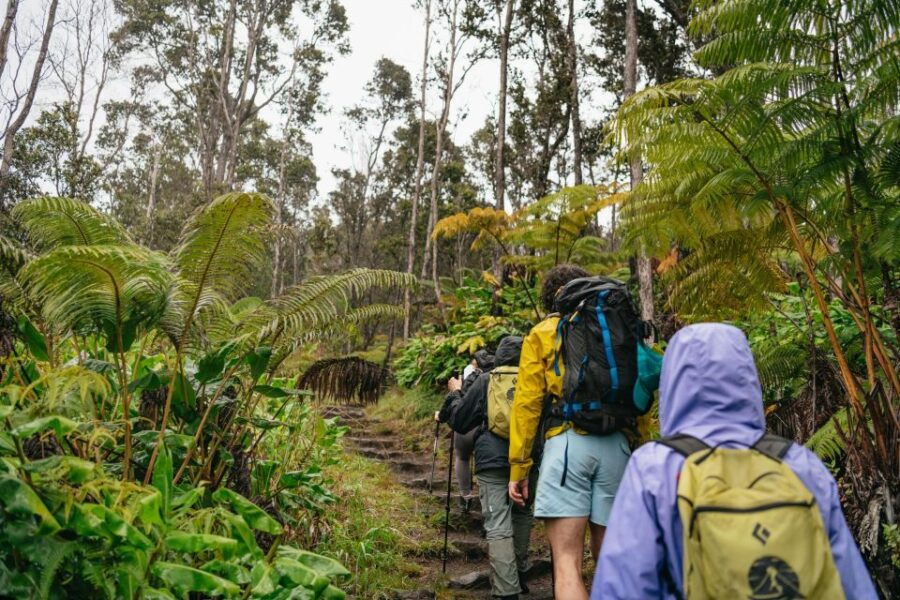 Big Island: Hawaii Volcanoes National Park Guided Hike