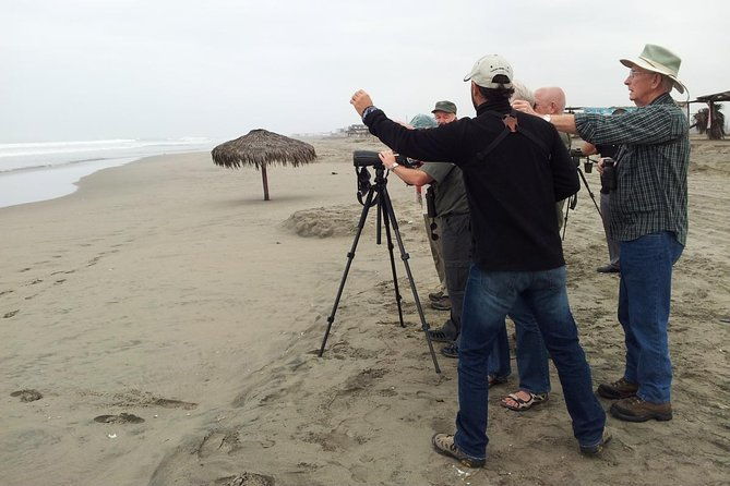 birdwatching-lima-wetlands