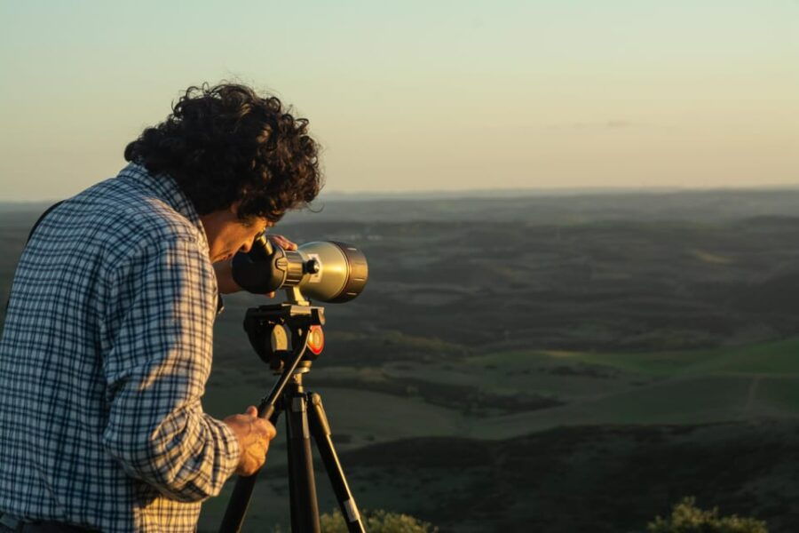 birdwatching-tour-in-mertola-and-castro-verde-region