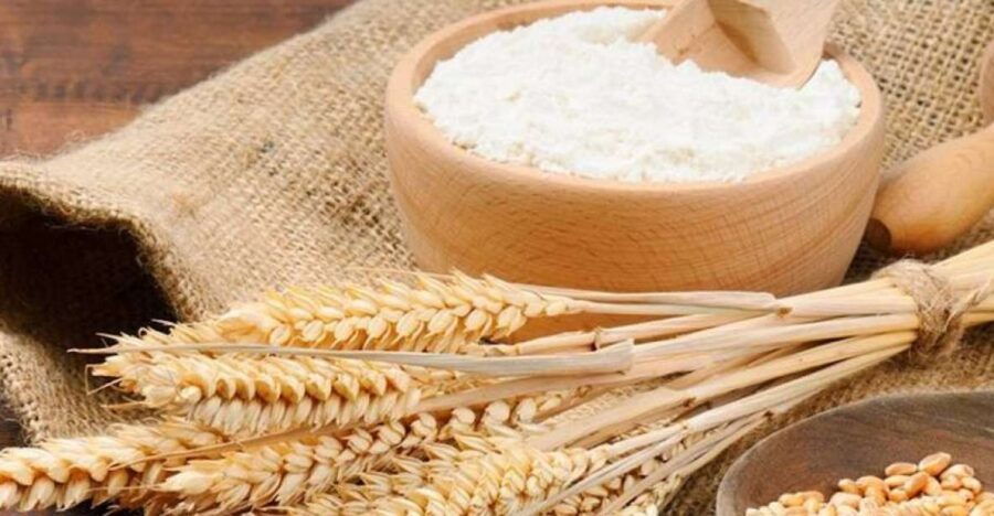 bisacquino-grandpa-mommos-mill-tour