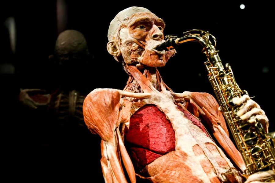 body-worlds-amsterdam-the-happiness-project-ticket