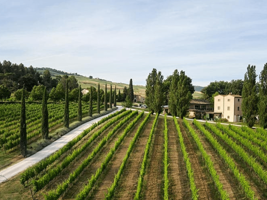 boutique-winery-visit-5-organic-wine-tastings-near-urbino