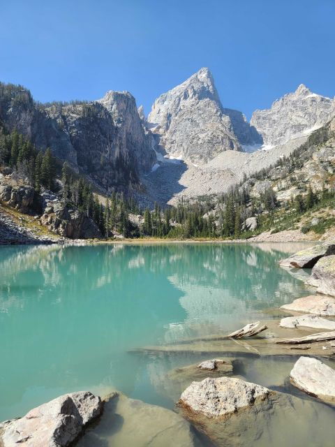 Bozeman: Yellowstone & Grand Teton National Park With Hotel
