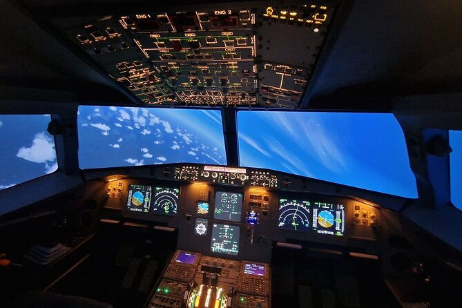 bronze-fly-experience