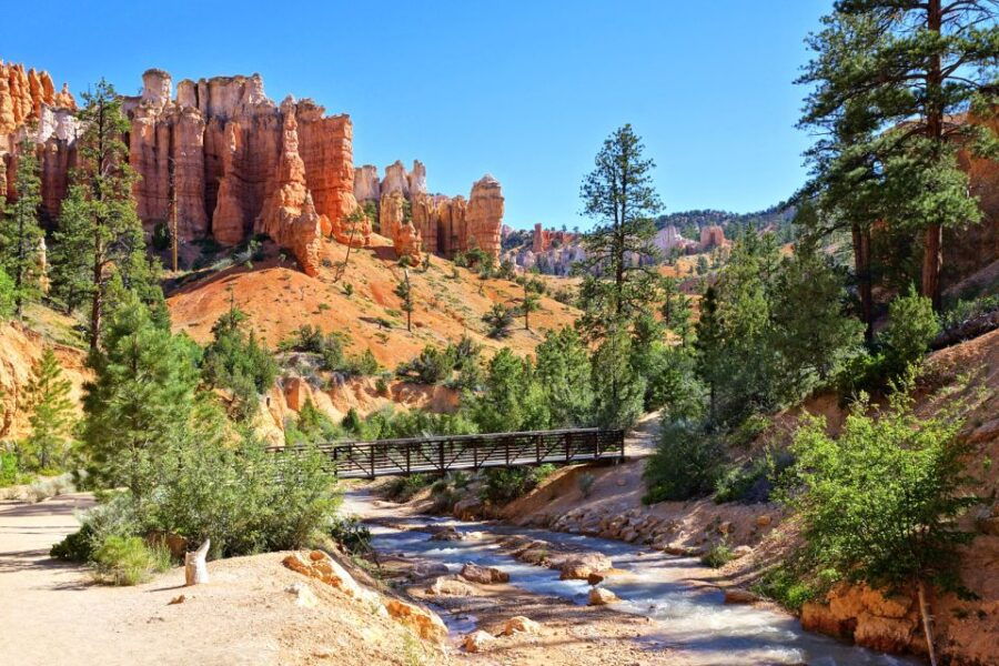 Bryce Canyon National Park: Guided ATV/RZR Tour