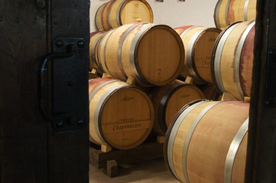 burgundy-guided-vineyard-and-winery-tour-with-wine-tasting