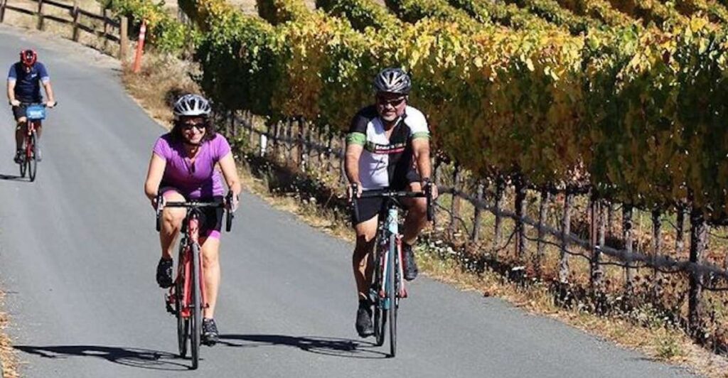 Calistoga: Napa Valley Cycling and Winery Tour With Picnic