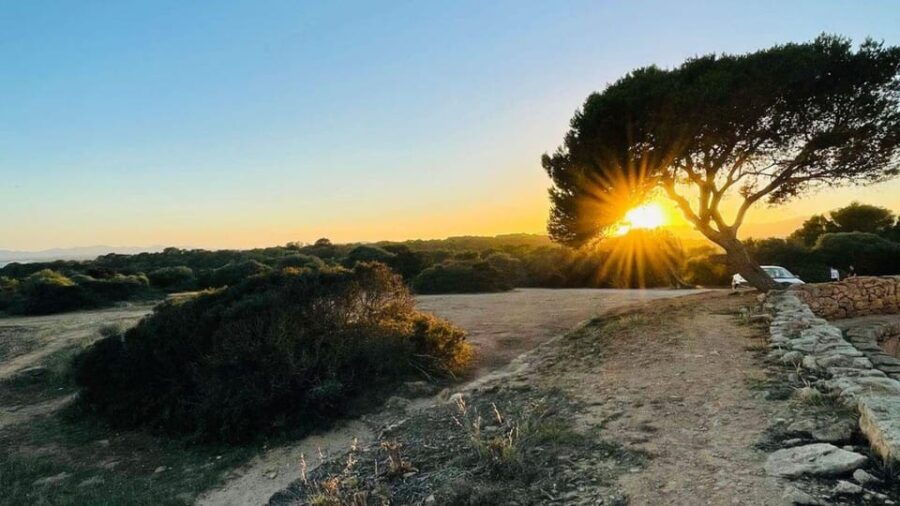 canyamel-couple-adventure-fun-gamequiz-and-walk-in-nature