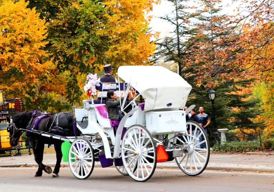 central-park-short-horse-carriage-ride-up-to-4-adults