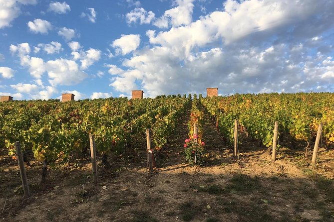 champagne-loire-valley-small-group-double-wine-day-tours